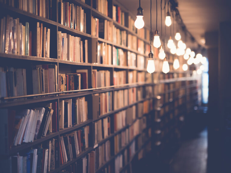 Projet Dolibarr OPlibris développé par Maïlis Amalric